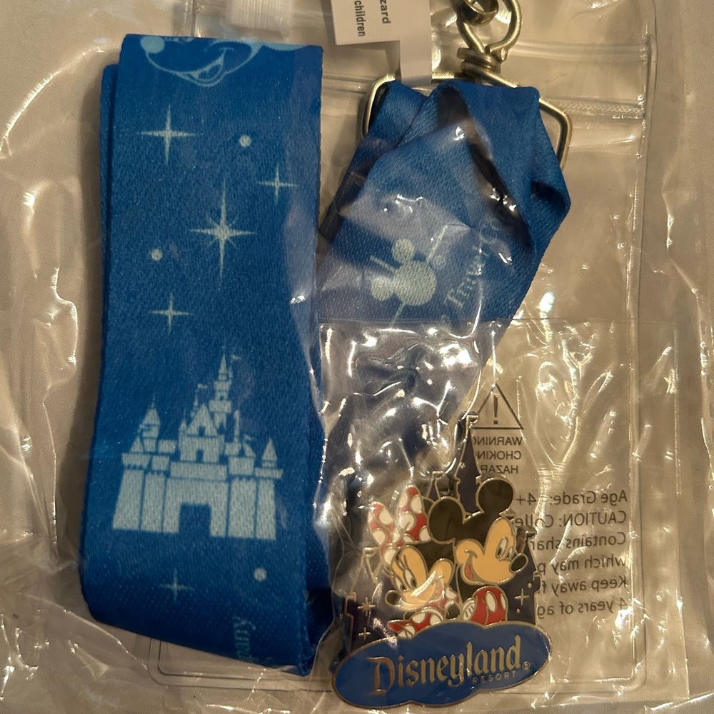 Disneyland lanyard and pin